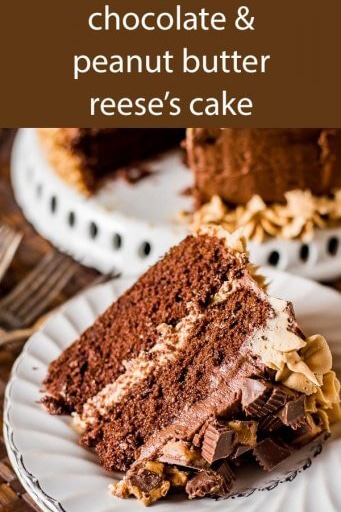 reese\'s chocolate cake title image