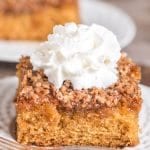 Amish Cake {Easy 9x13 Cake Recipe with Butter & Nut Topping}
