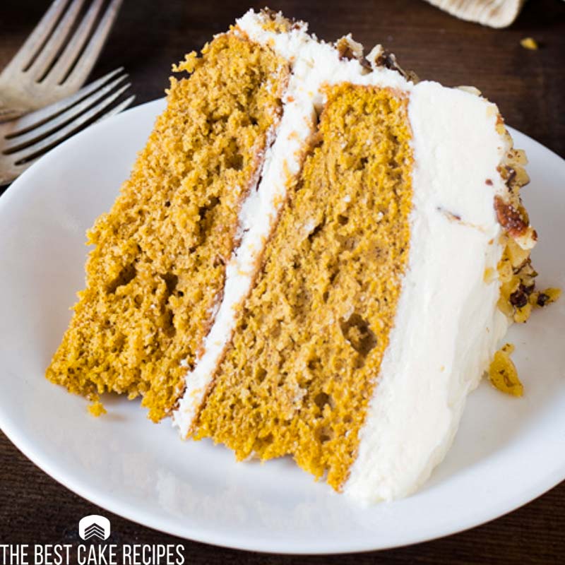 closeup of a piece of pumpkin cake