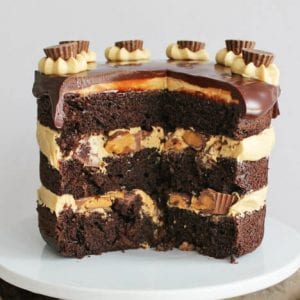 Chocolate Peanut Butter Cake