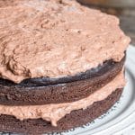 two layer sugar free chocolate cake on a cake stand