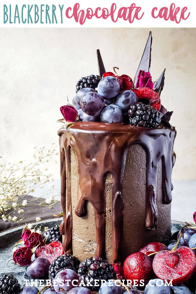 fancy chocolate layered cake with fresh fruit