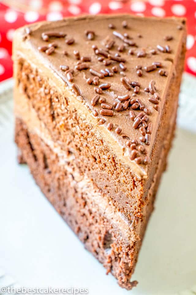 A close up of a piece of chocolate cake on a plate, with buttercream