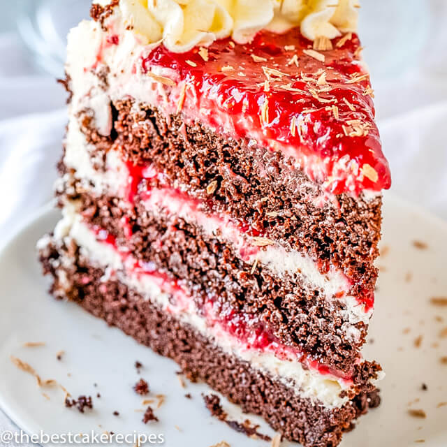 Chocolate Raspberry Cake with Whipped Ganache Frosting - The Cake Chica