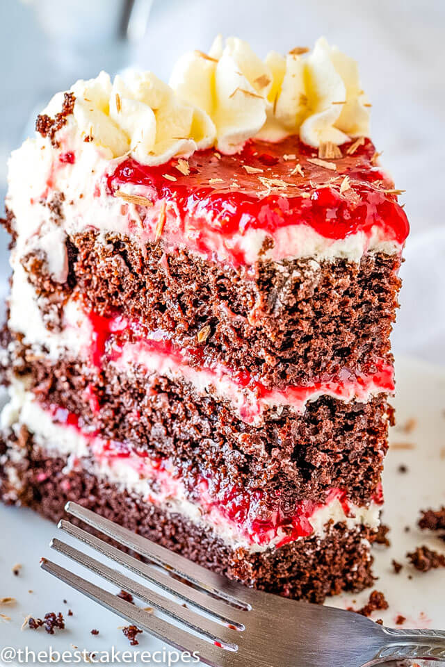 three layer chocolate raspberry cake slice on a plate
