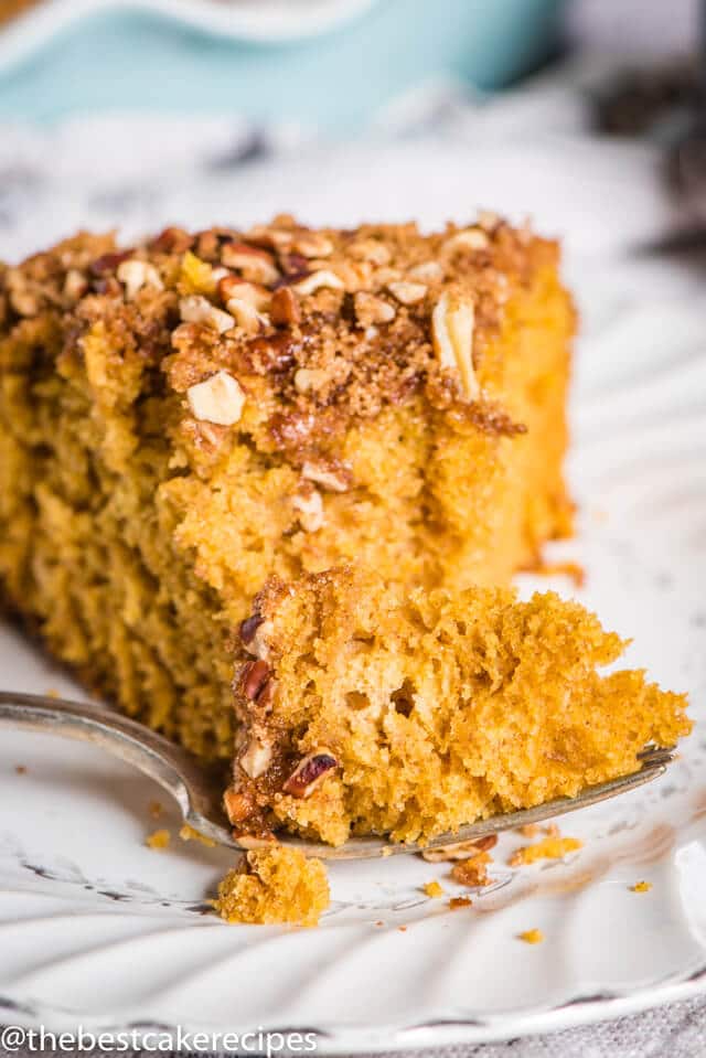 A piece of cake on a plate, with Pumpkin and Coffee cake