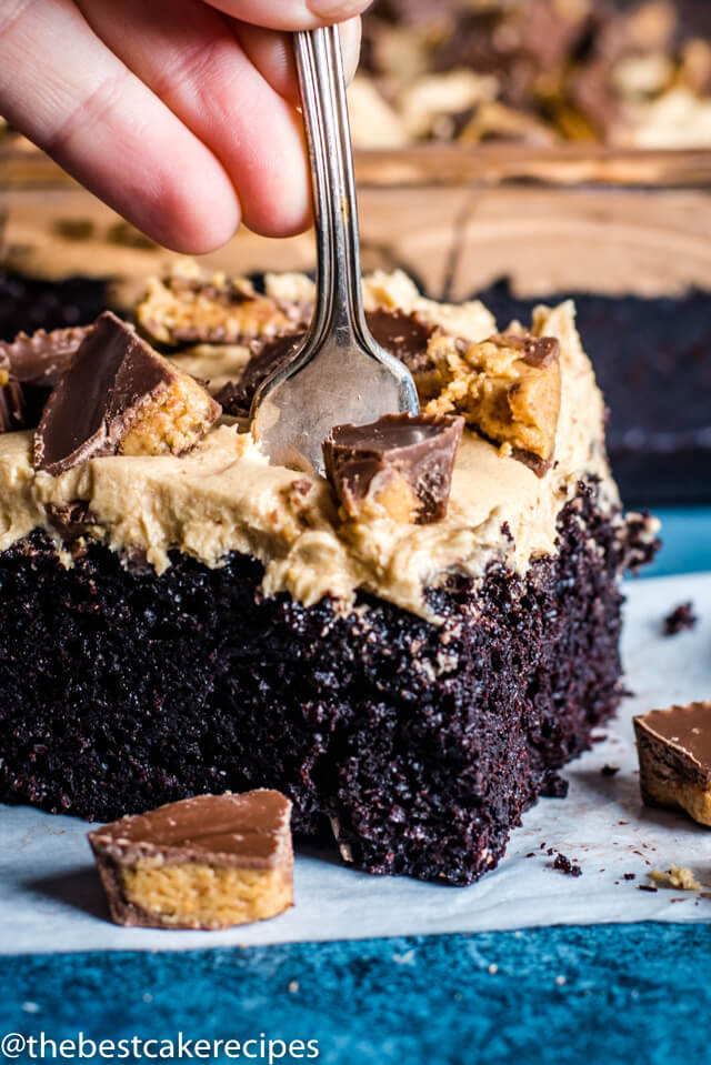 fork digging into a chocolate cake with peanut butter frosting