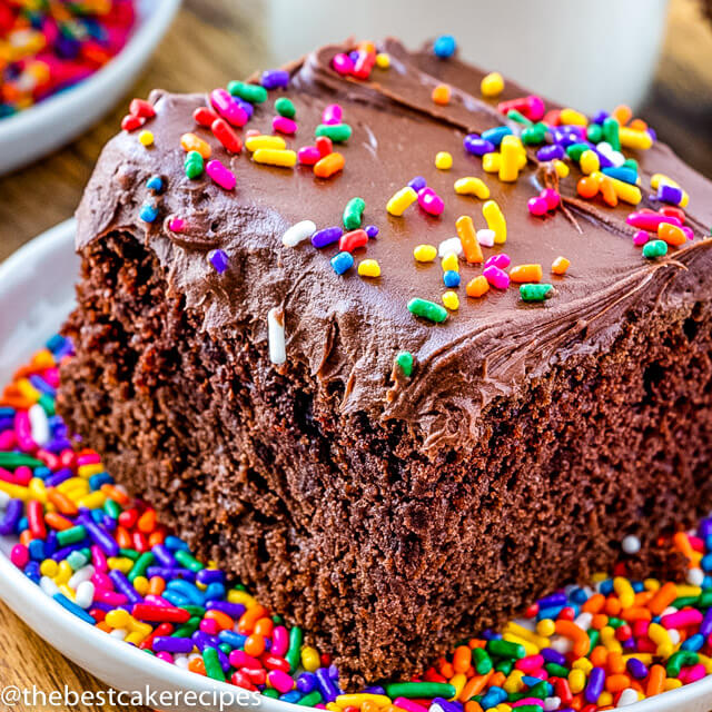 A close up of a plate of birthday cake, with Chocolate frosting and sprinkles