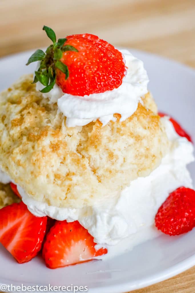 A piece of cake on a plate, with Shortcake and Strawberry