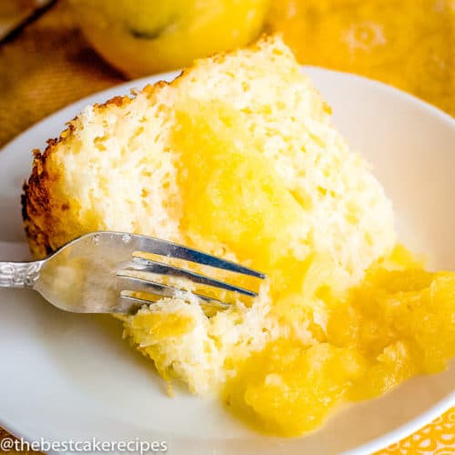 Mint Chocolate Chip Angel Food Cake The Best Cake Recipes