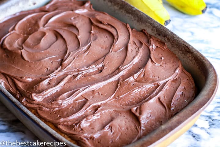 chocolate frosted cake in a pan
