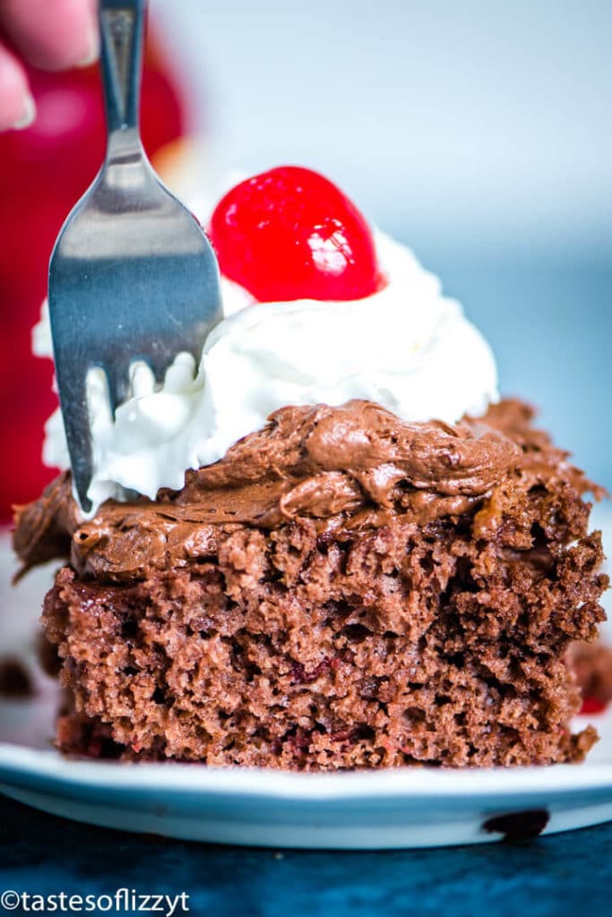 4 Ingredient Chocolate cherry Cake with cherry on a plate and fork
