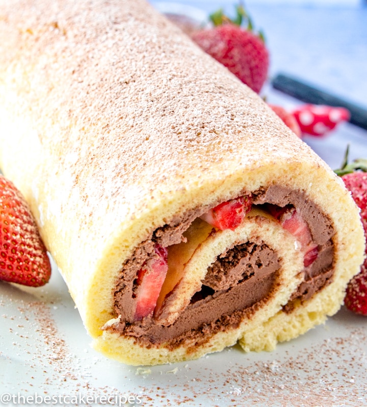 Chocolate Strawberry Cake Roll on a serving plate