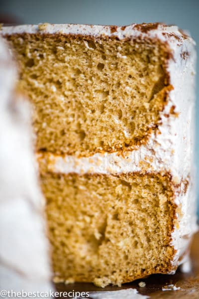 Cinnamon Layer Cake Recipe {Easy Cake with Cinnamon Butter Frosting}