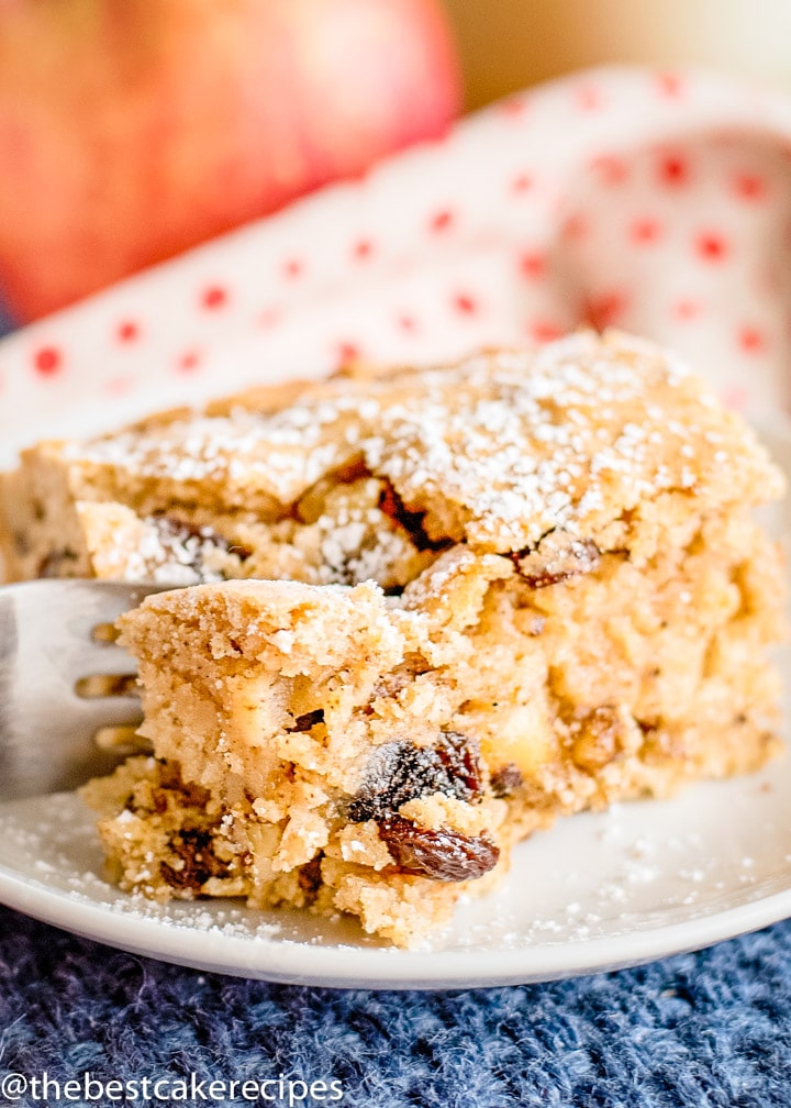 Easy Applesauce Cake with raisins and nuts on a plate