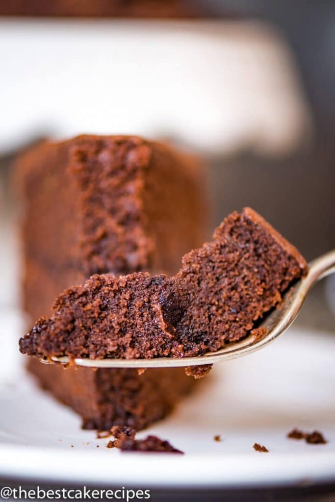 piece of chocolate cake on a fork