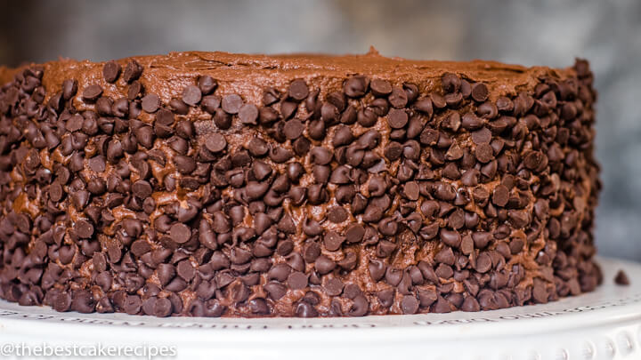 2 layer chocolate cake with chocolate chips on outside