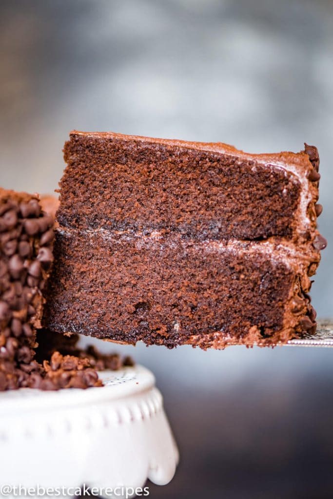 Barley Flour Chocolate Cake on a spatula