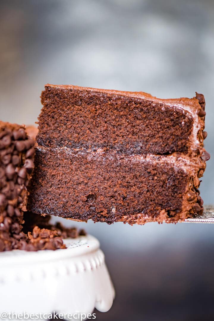 Barley Flour Chocolate Cake Recipe {2 Layer Homemade Chocolate Cake}