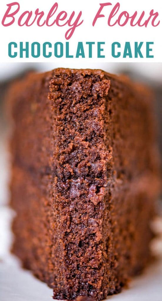 Barley Flour Chocolate Cake title image