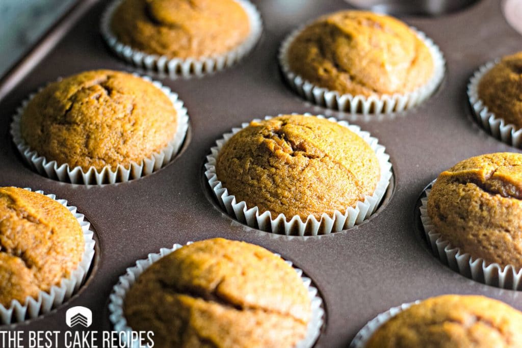 pumpkin cupcakes in muffin tin
