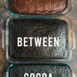 difference between cocoa powder title image