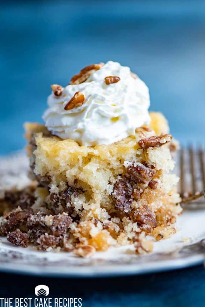 Pecan Pie Cake Recipe with chopped pecans on a plate