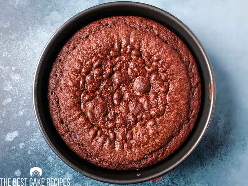 chocolate cake in springform pan