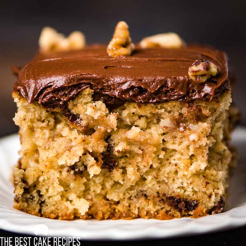 Chocolate Chip Snack Cake with nuts