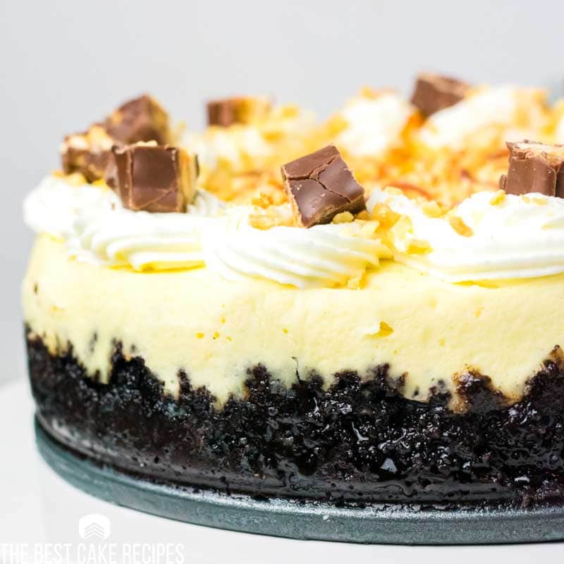 small cheesecake with oreo crust