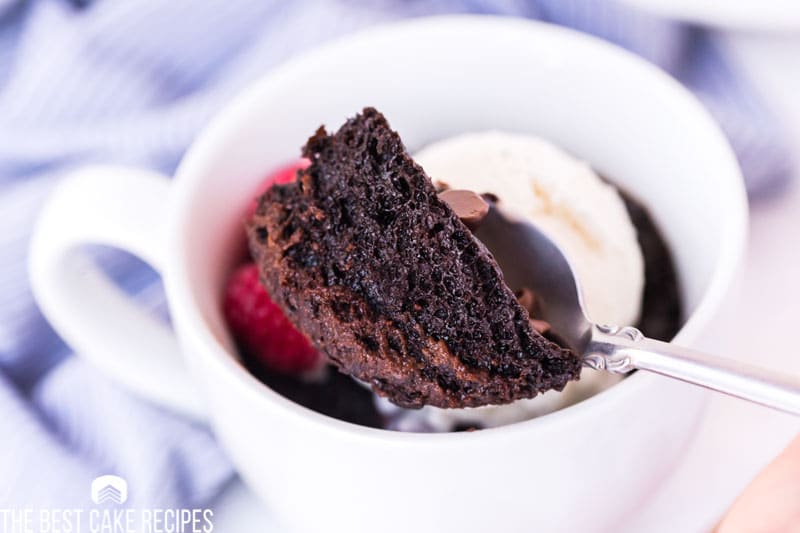 spoonful of fudgy chocolate mug cake