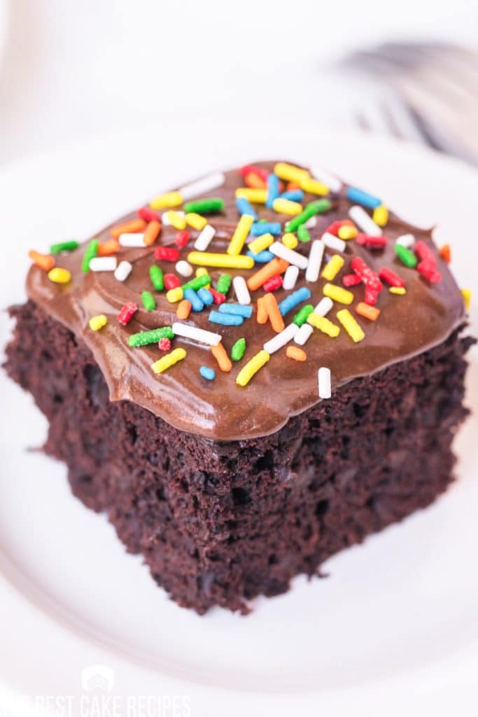 slice of chocolate cake with chocolate frosting and sprinkles