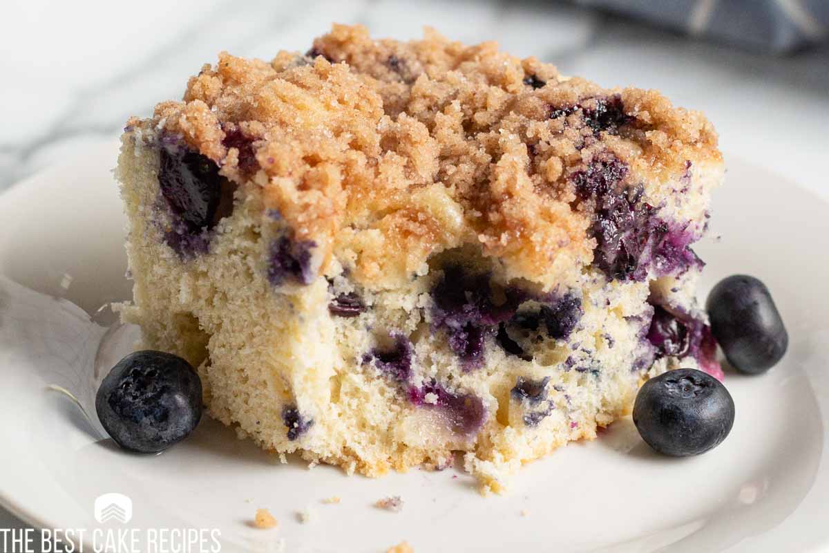 blueberry cake on a plate with a bite out