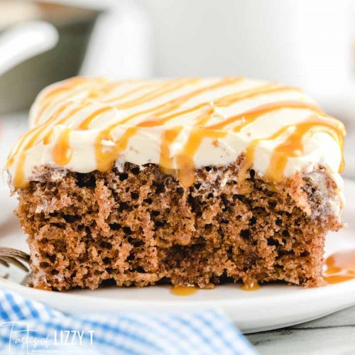 Applesauce Spice Cake | The Best Cake Recipes