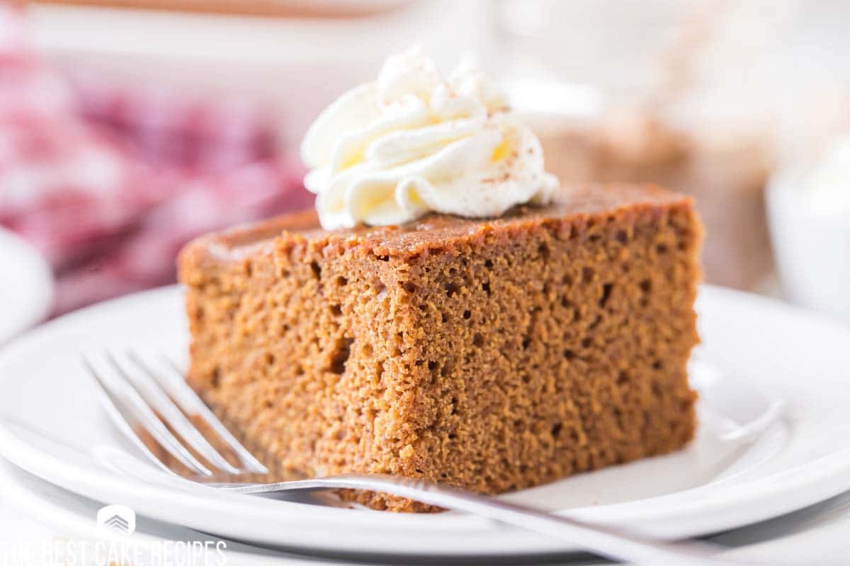 piece of gingerbread cake on a plate