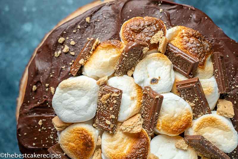 overhead shot of the best s'mores cake