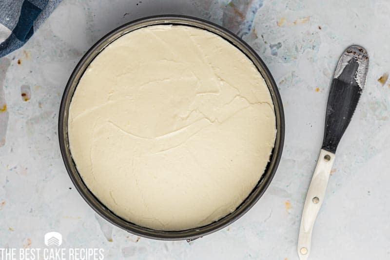 no bake cheesecake in a springform pan