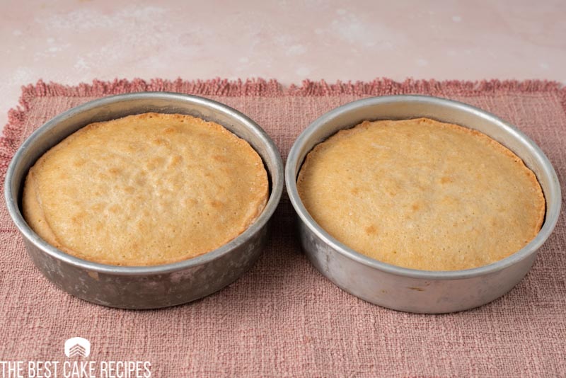 baked white cakes in pans