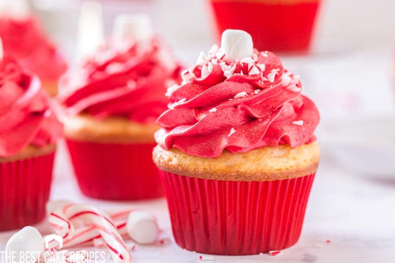 cupcake with red swirled frosting and candy cane pieces