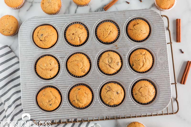 overhead view of baked spice cupcakes in a cupcake pan