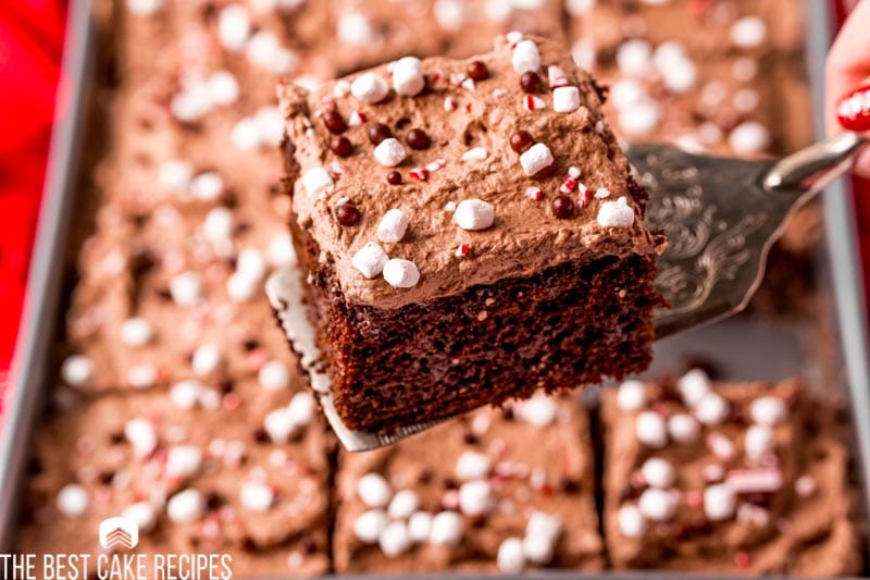 peppermint hot chocolate cake on a spatula