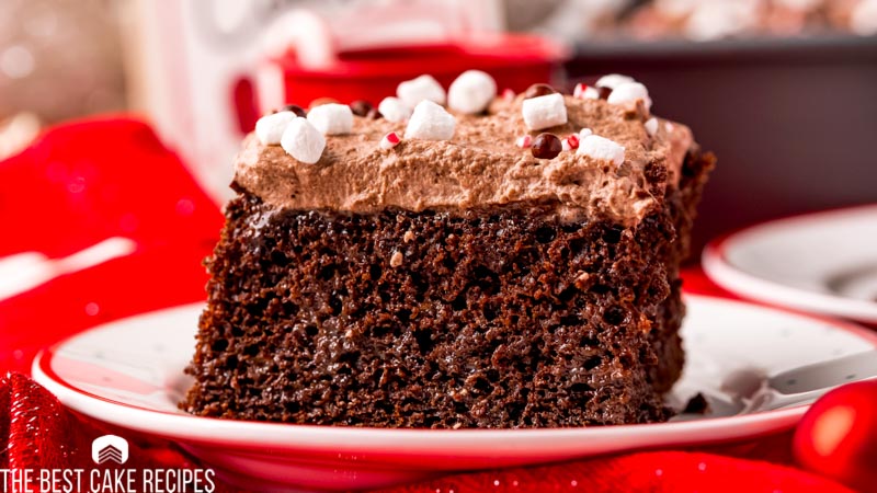 a piece of chocolate cake on a plate