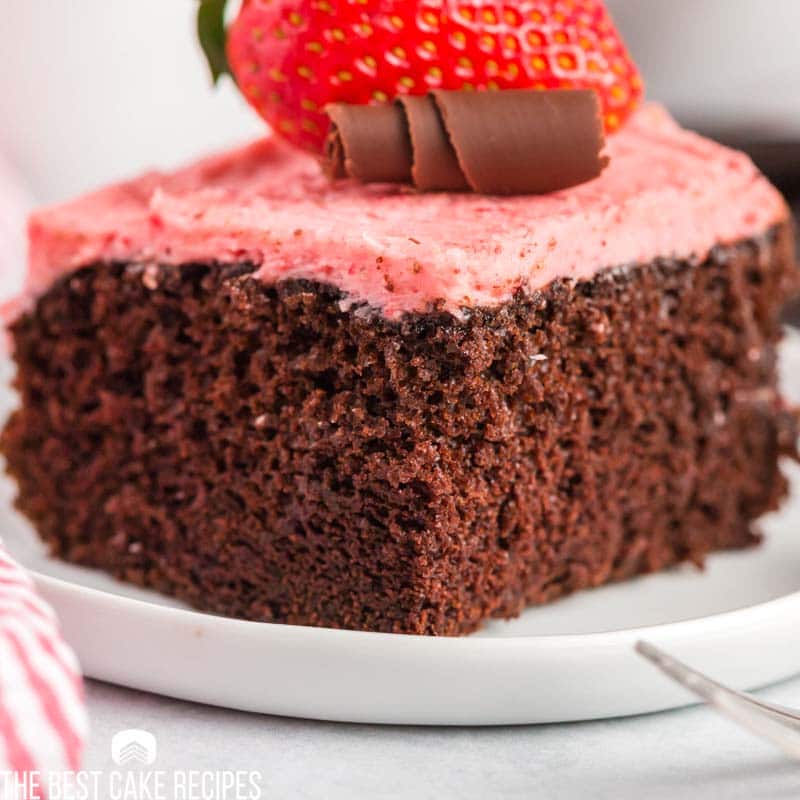 closeup of a piece of chocolate cake on a plate