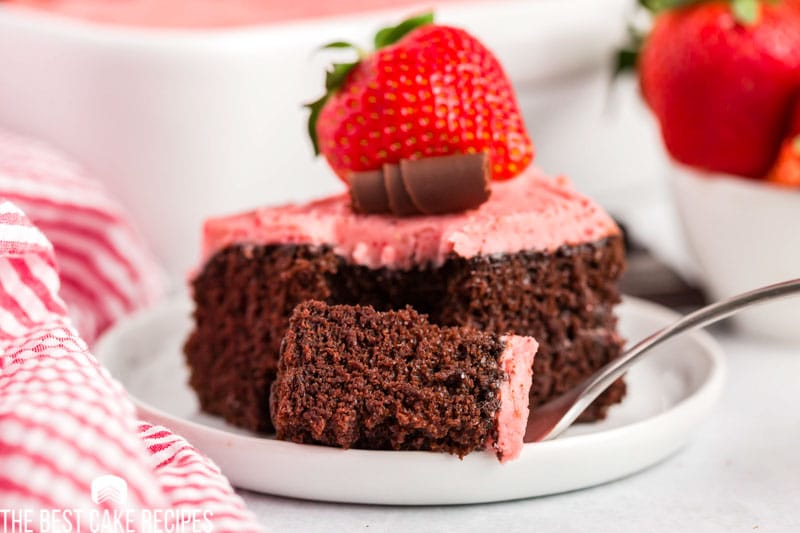 closeup of a piece of cake with a bite on a fork