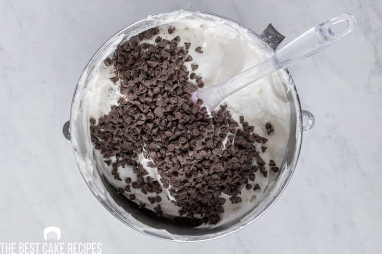 Mint Chocolate Chip Angel Food Cake The Best Cake Recipes