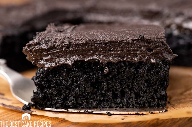 a piece of black cocoa powder cake on a spatula
