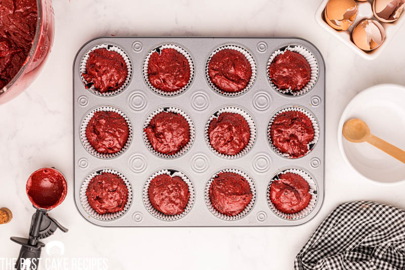 overhead view of unbaked cupcakes