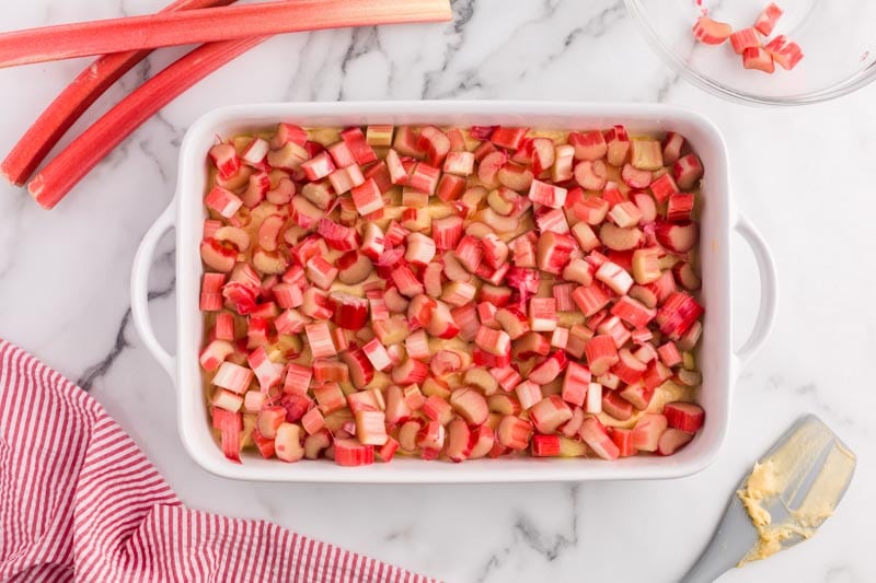 rhubarb over cake batter in a baking pan