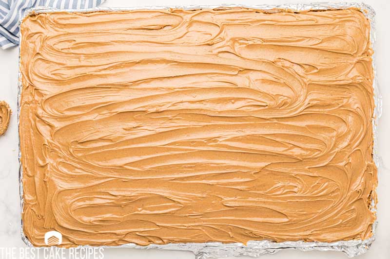 peanut butter frosted cake