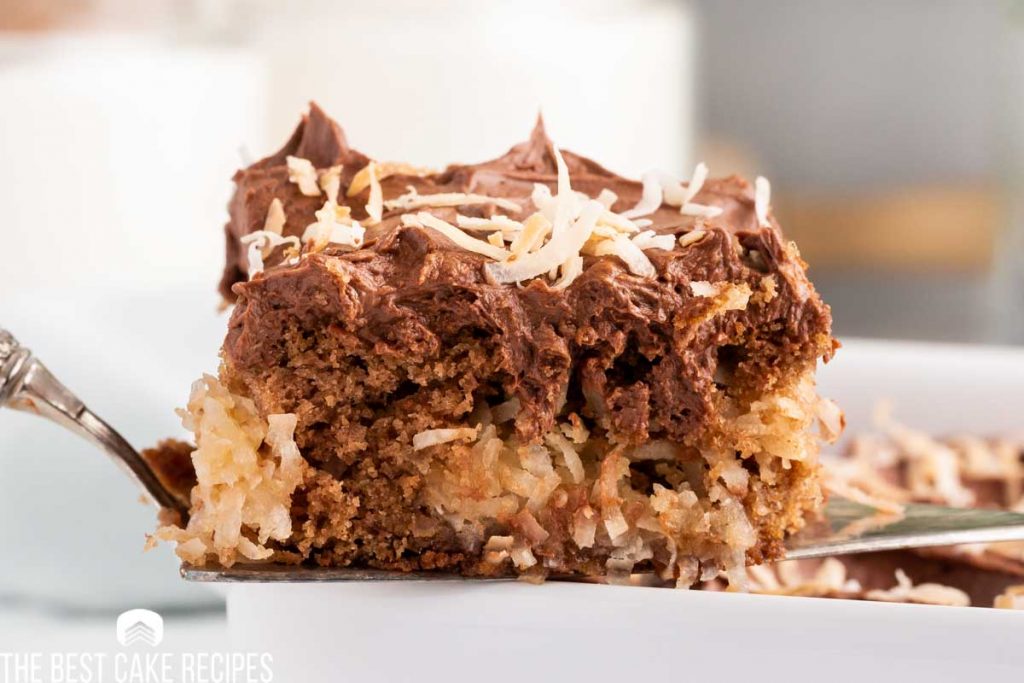 closeup of macaroon cookie cake on a spatula